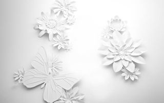 白色荷花蝴蝶图片免抠