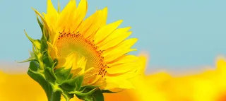 淘宝 天猫 banner 背景高清