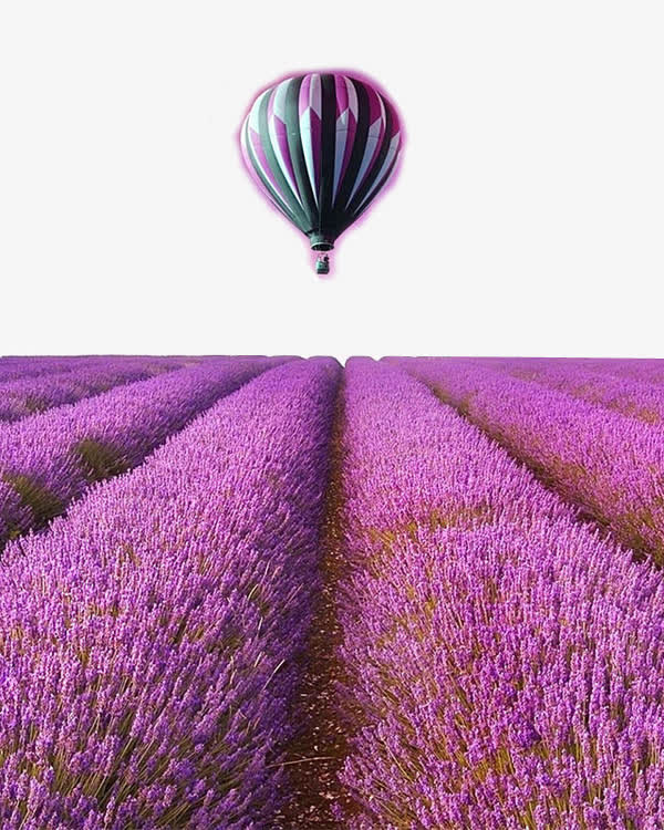薰衣草热气球免抠