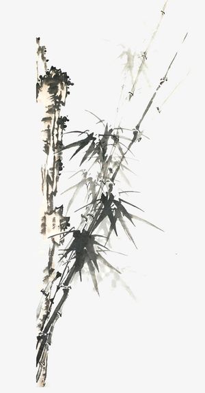 中国风水墨画效果竹子免抠