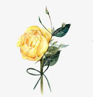 树枝上的花朵免抠