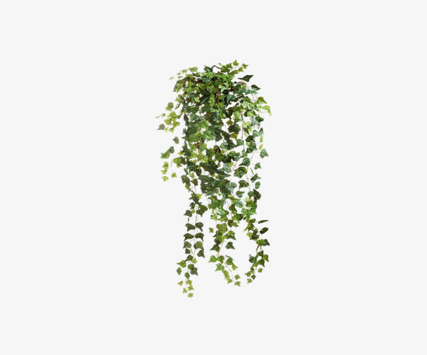 蓬松墙头草爬山虎装饰免抠