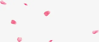 粉红花瓣不规则漂浮图片免抠
