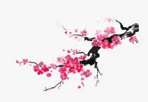 梅花免抠