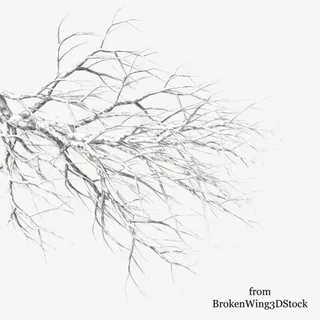 白色树枝 png素材免抠