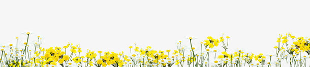 花免抠