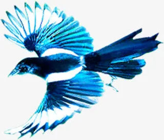 蓝色飞翔燕子免抠
