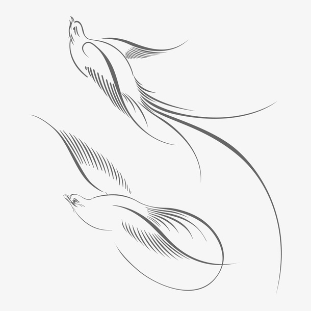 手绘小鸟线稿免抠