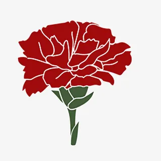 手绘红色花卉康乃星免抠