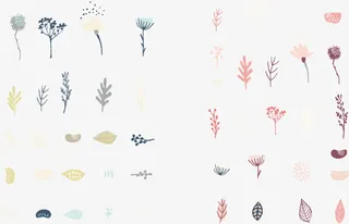 矢量手绘花朵免抠