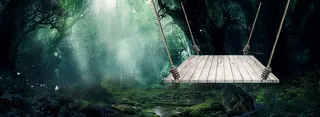 清新梦幻森林banner高清