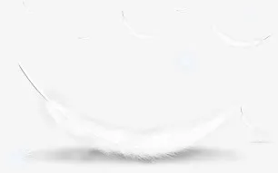 白色羽毛免抠