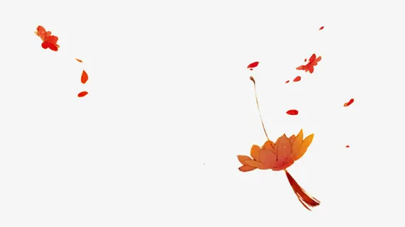 绿色花瓣 漂浮花瓣 免扣png素材免抠