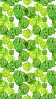 卡通绿色树叶免抠