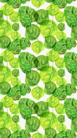 卡通绿色树叶免抠