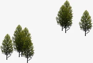 鸟瞰大树植被绿化免抠