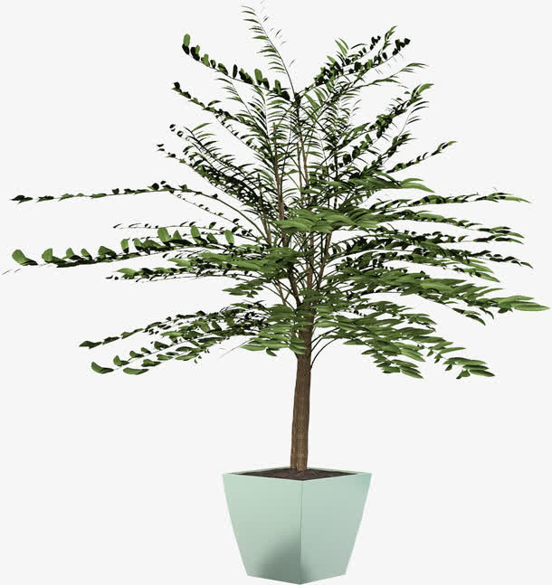 盆子种植的绿树免抠