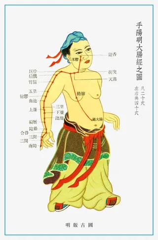 穴位图A图片免抠