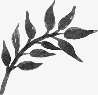 中国水墨树叶 背景图片