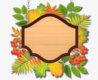 秋天边框素材png免抠