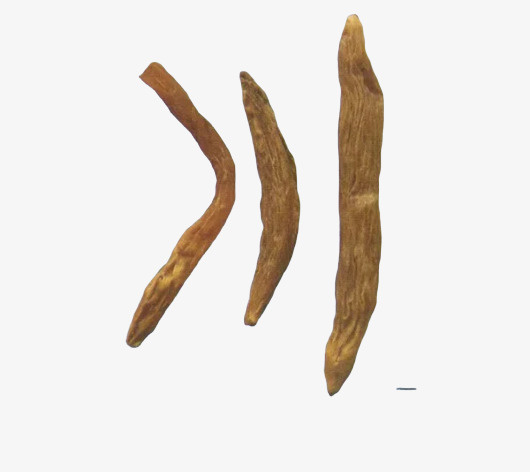 中药百部药材免抠