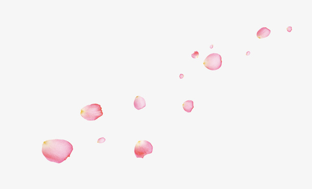 粉色花瓣免抠