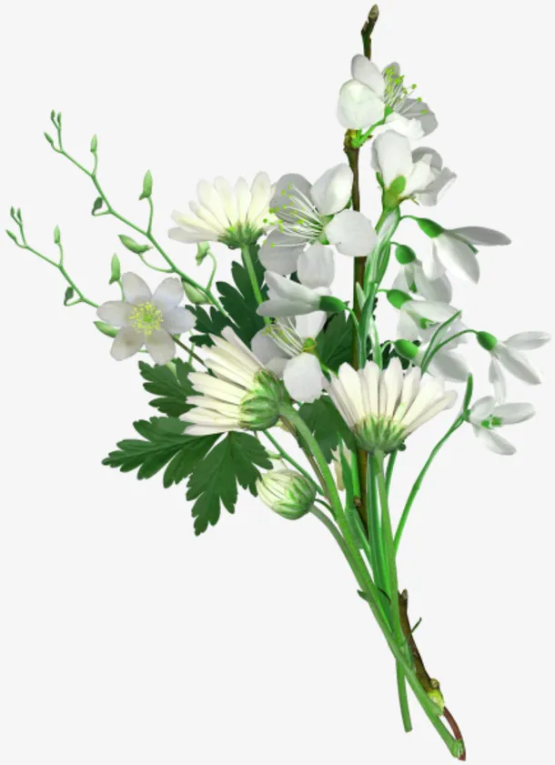 花png 透明 素材 免扣免抠