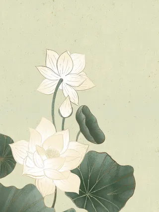 夏天立夏二十四节气荷叶荷花纸质背景高清