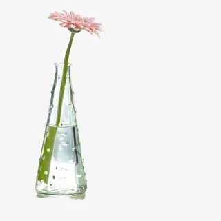 花瓶免抠