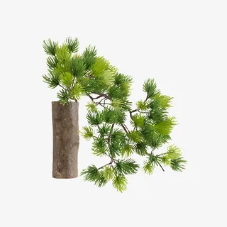 仿真袖珍盆景迎客松树枝免抠