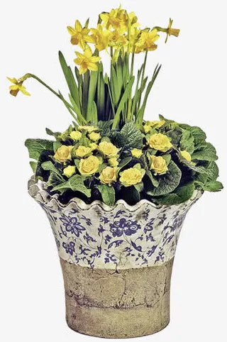 黄色的碎花盆景免抠