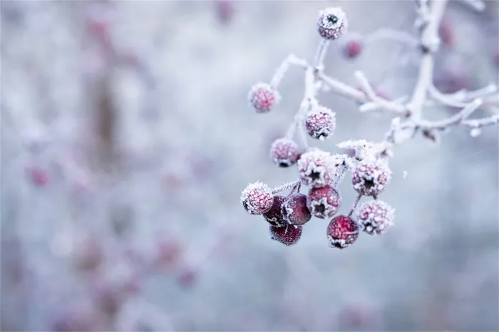 冬天雪景自然风景高清
