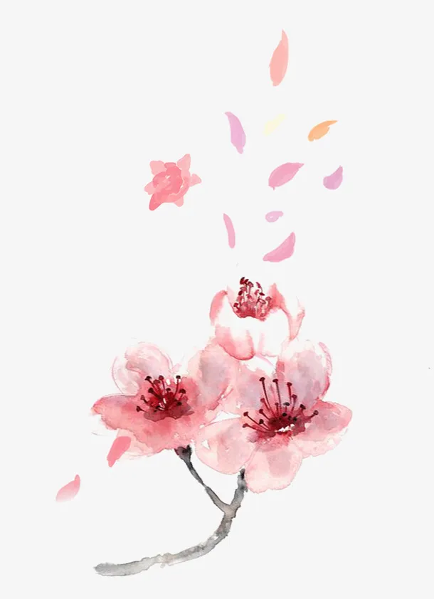 清新粉色散开的花瓣和花免抠图免抠