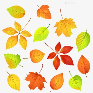 唯美落叶免抠