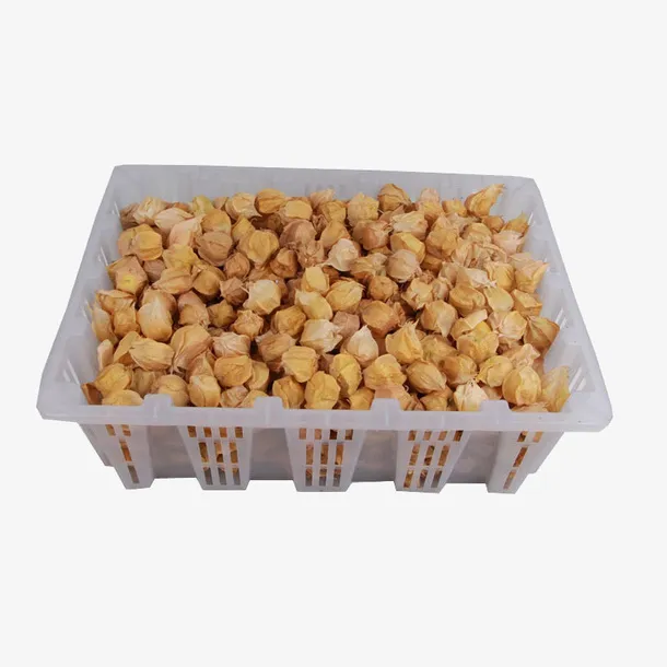 灯笼果免抠