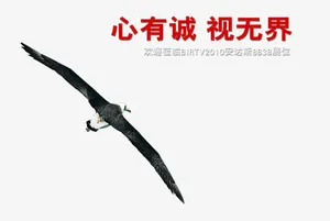 展位海报免抠