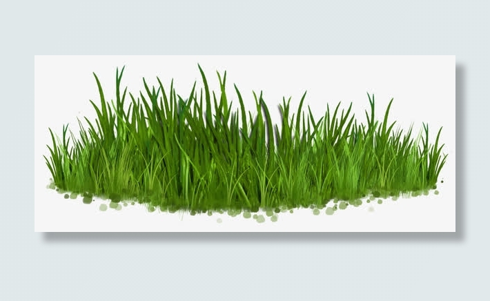 池塘植物高清免扣素材模板免抠