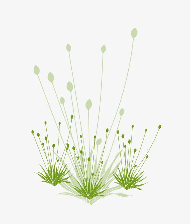 绿色小草免抠