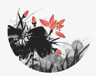 中国画水墨插画荷花与荷叶免抠