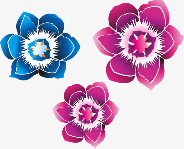 花瓣免抠