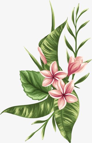 手绘粉色花朵免抠