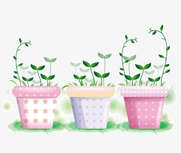 盆里的花免抠