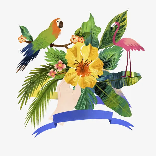鸟儿和植物插画免抠