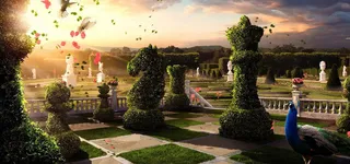 森林植物背景装饰高清