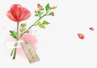 浪漫唯美花朵花瓣免抠