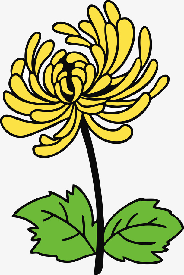 手绘彩色的菊花免抠