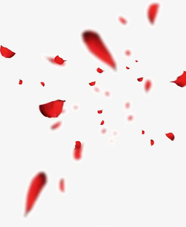 唯美场景飘散模糊玫瑰花瓣免抠