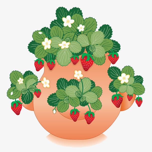 草莓树盆栽免抠