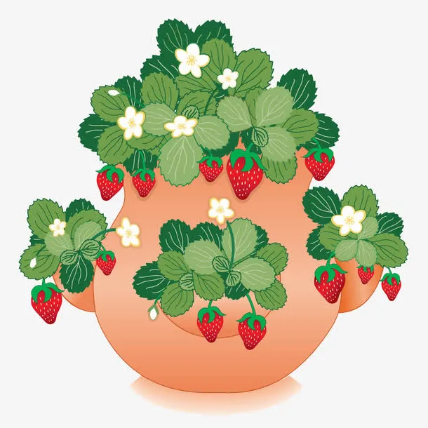 草莓树盆栽免抠