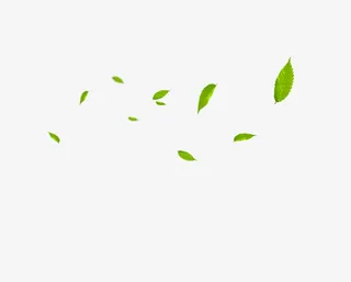 叶子飘飘漂浮植物叶子免抠